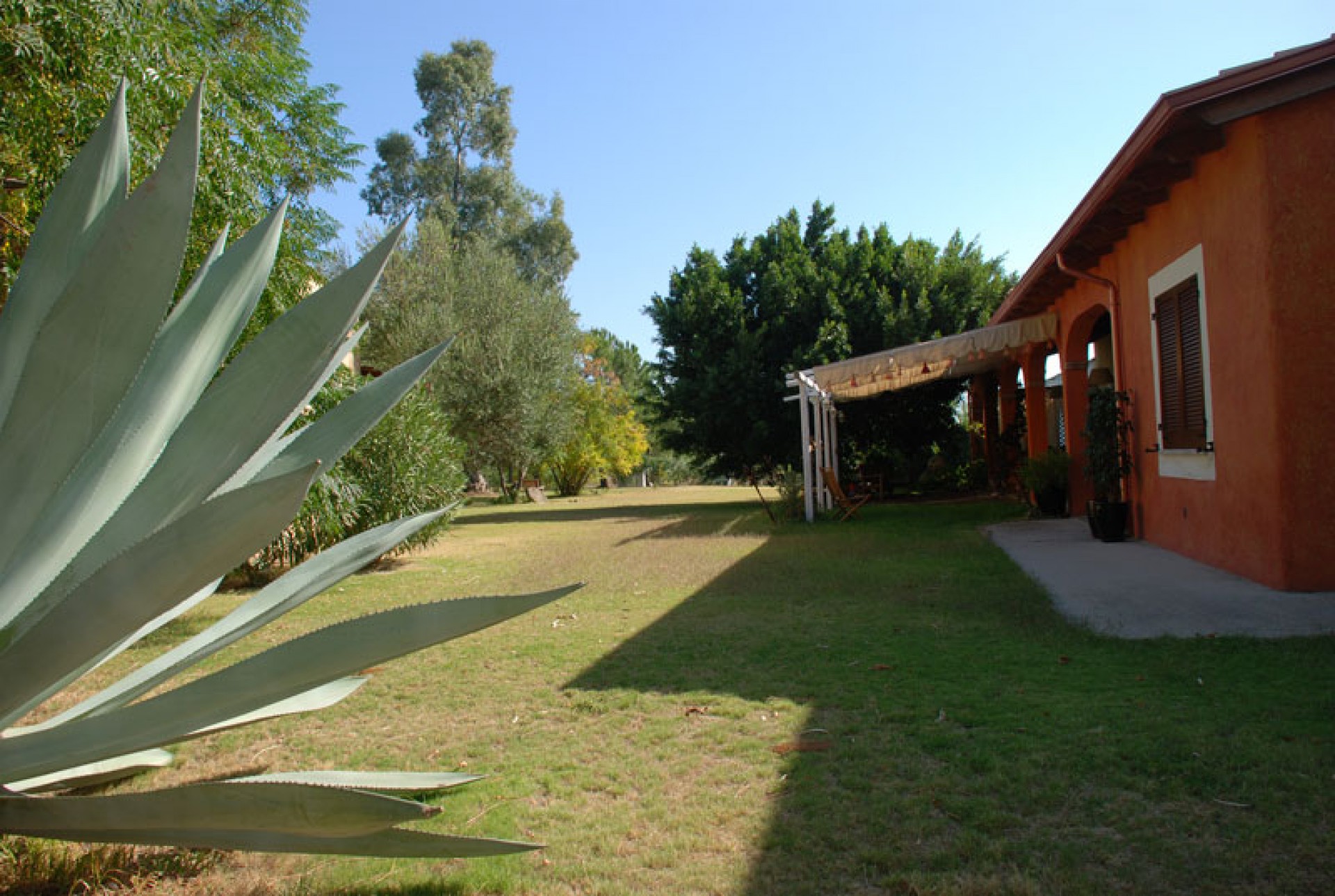 Giardino